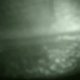 qujaku