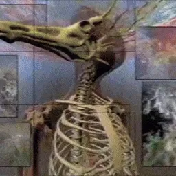 бесконечный кошмар