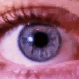 eye