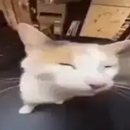глупеньковость.mp3