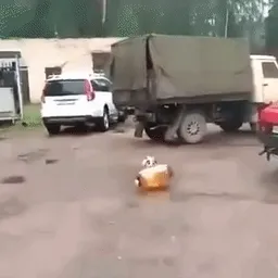 пiс патрон