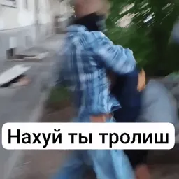 троль,&#