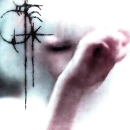 lostcry