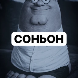 соньон