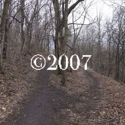 sc/ambient/experimental