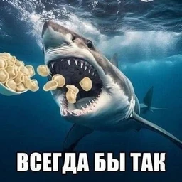 444