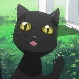 kitty