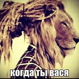 chekunec