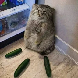 153_Amajor