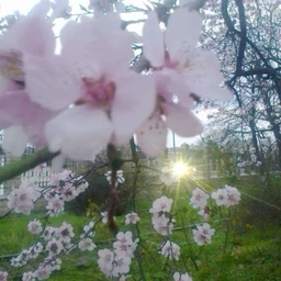 APRIL
