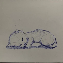 Dengi