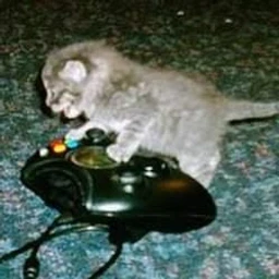 ###