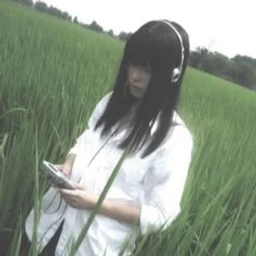 2000 ambient