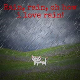 it's raining