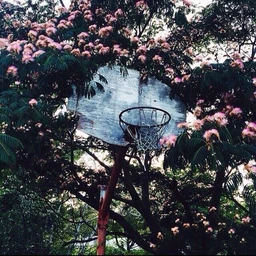 "limerence" | emo trap