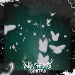 Papillons Nocturnes