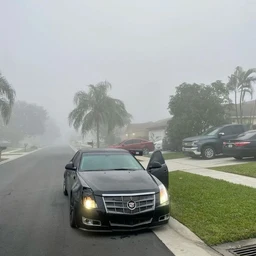f33l + deilas