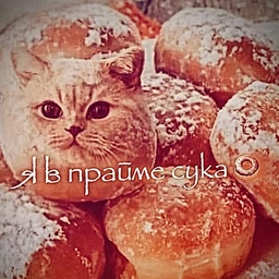 многоэтажка