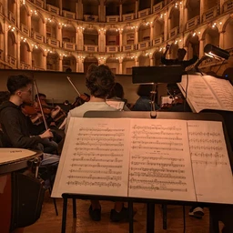 Project_241/orchesta