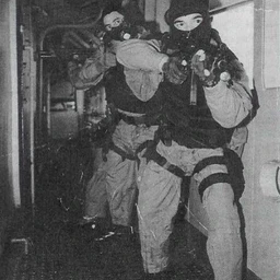 Zava