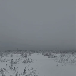 beznadejnost'