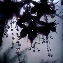 Enchantment | ambient