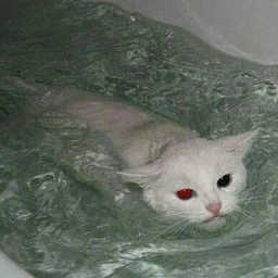 удлинитель
