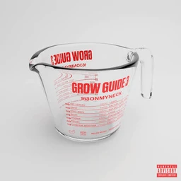 detroitflinttypebeat-growguid3