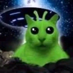 nlo