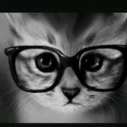 catwalk