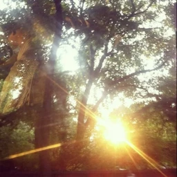archive sunshine | free mp3