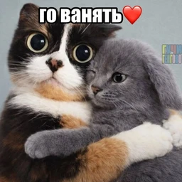 ваняем(c phry)