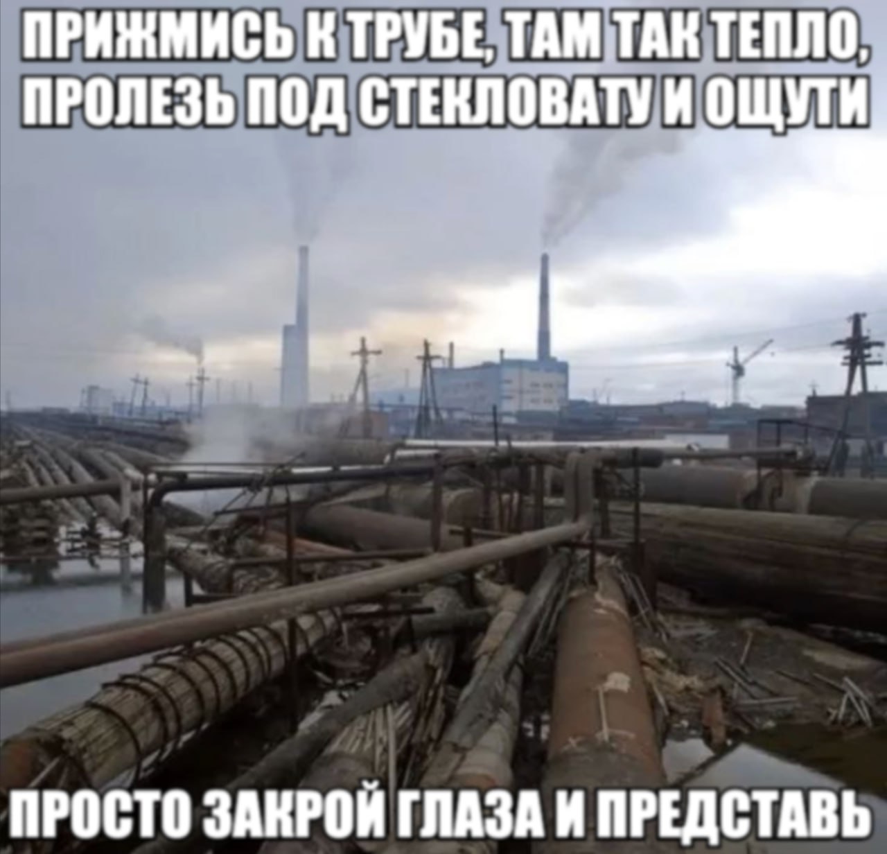 1000007301.jpg