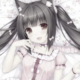 kittykitty