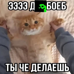 ЭЭЭЭ ДОЛБАБ ТЫ ЧЕ ДЕЛАЕШЬ