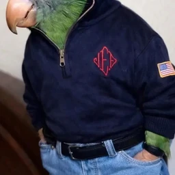 CENTR