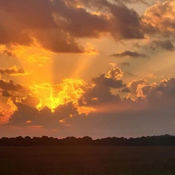 sunrise