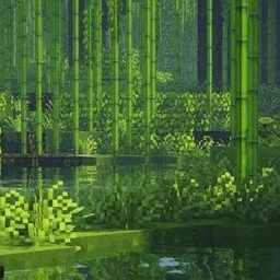 jungle