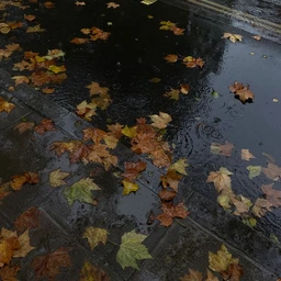 "rainy again" | melodic lofi