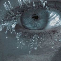 icevision