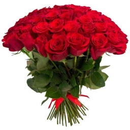 VALENTINE'S DAY