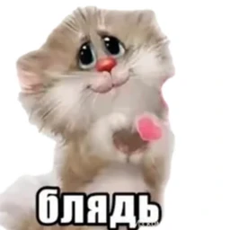 OKAL