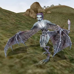 dragonblunnt