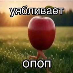 iop
