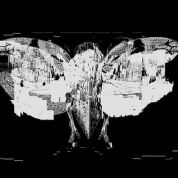 biorizer