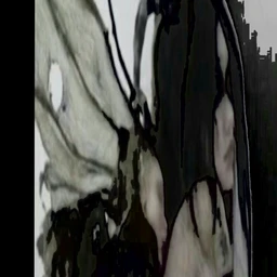 ссуkа галя   i’dlts.                            💉