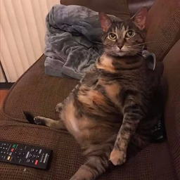 PUZO