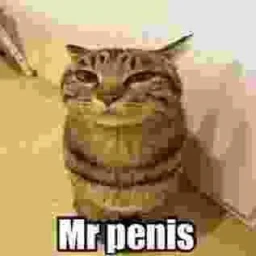 mr.penis