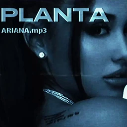 PLANTA - ARIANA