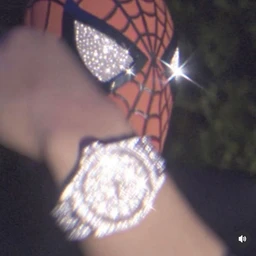 SPIDER